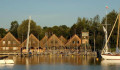 diessner_600x350.jpg